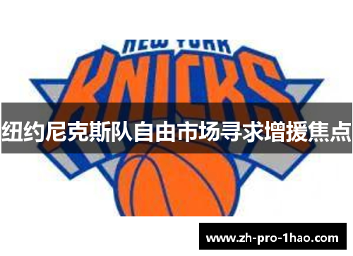 纽约尼克斯队自由市场寻求增援焦点