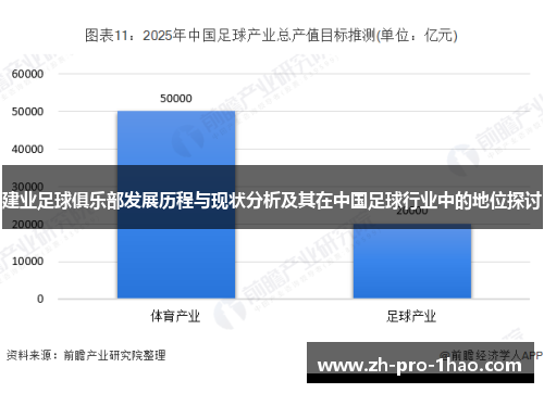 建业足球俱乐部发展历程与现状分析及其在中国足球行业中的地位探讨