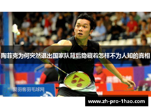 陶菲克为何突然退出国家队背后隐藏着怎样不为人知的真相 陶菲克为何突然退出国家队背后隐藏着怎样不为人知的真相