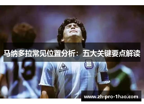 马纳多拉常见位置分析：五大关键要点解读