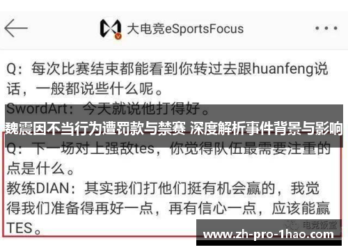 魏震因不当行为遭罚款与禁赛 深度解析事件背景与影响
