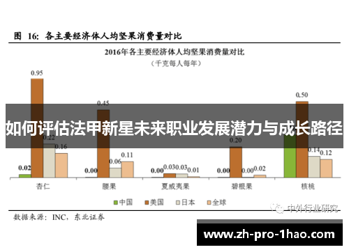 如何评估法甲新星未来职业发展潜力与成长路径 如何评估法甲新星未来职业发展潜力与成长路径