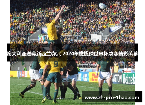 澳大利亚逆袭新西兰夺冠 2024年橄榄球世界杯决赛精彩落幕 澳大利亚逆袭新西兰夺冠 2024年橄榄球世界杯决赛精彩落幕