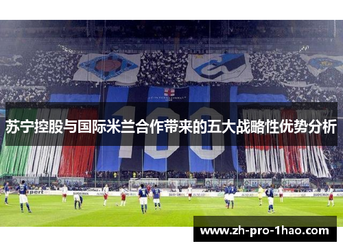 苏宁控股与国际米兰合作带来的五大战略性优势分析 苏宁控股与国际米兰合作带来的五大战略性优势分析